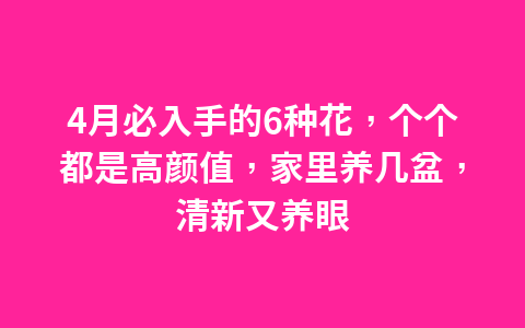 4月必入手的6种花,个个都是高颜值,家里养几盆,清新又养眼1