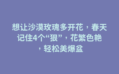 想让沙漠玫瑰多开花,春天记住4个“狠”,花繁色艳,轻松美爆盆1