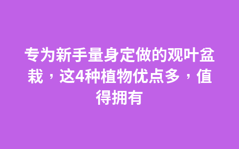 累计冻结股权66起、总额89亿元,不躺平的当代置业如何破冰?1
