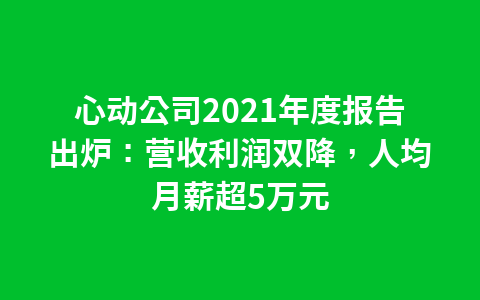 心动公司2021年度报告出炉:营收利润双降,人均月薪超5万元1