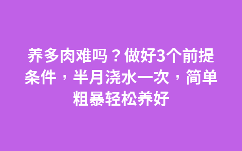 有哪些家电值得推荐?入住4个月,说说我的家电使用感受1