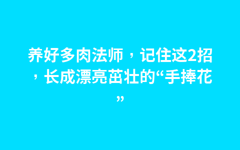 养好多肉法师,记住这2招,长成漂亮茁壮的“手捧花”1