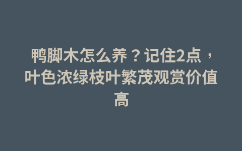 “保护黄河幸福林”生态修复项目在宁夏沙坡头启动1
