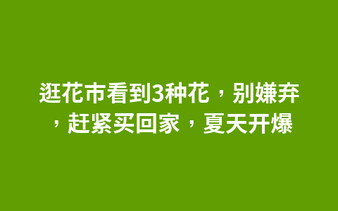 房子盖了一半,想要改成中式的,“手术”一番,效果可观1