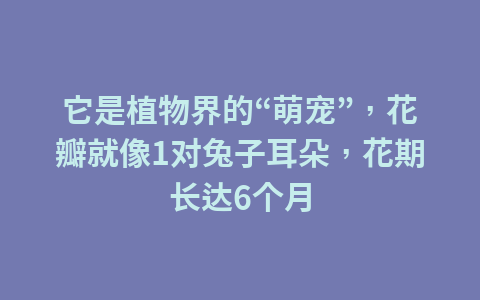 关于知识产权那些你不知道的事,都在这场活动里!1