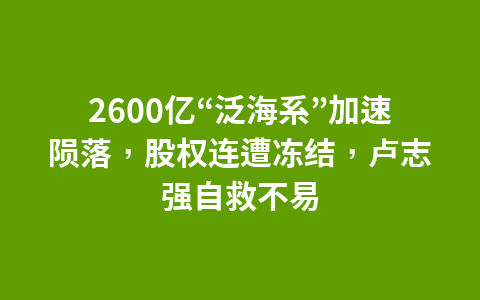 2600亿“泛海系”加速陨落,股权连遭冻结,卢志强自救不易1