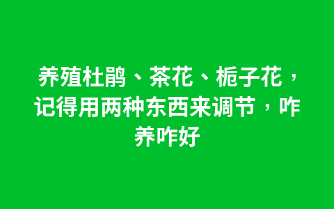 这4种植物,不喜欢淋雨,想知道为什么吗?1