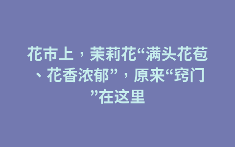 花市上,茉莉花“满头花苞、花香浓郁”,原来“窍门”在这里1