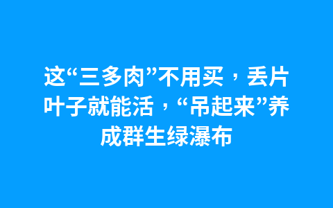 江苏文旅企业探索让剧本杀、元宇宙成为文旅消费的流量密码1