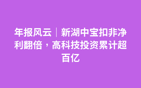 年报风云|新湖中宝扣非净利翻倍,高科技投资累计超百亿1