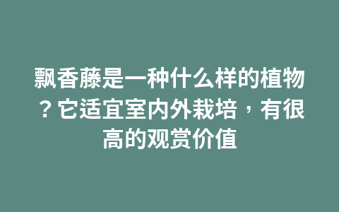 月季二茬花开的又少又小,如何才能让二茬花开的多又大呢?1
