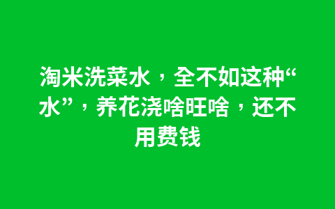 淘米洗菜水，全不如这种“水”，养花浇啥旺啥，还不用费钱1
