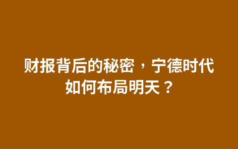 财报背后的秘密，宁德时代如何布局明天？1