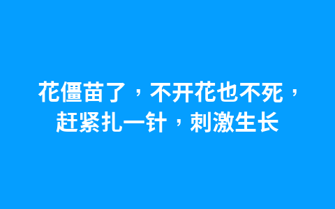 春夏之交带锦的法师还可以露养吗?当然可以,不过要注意养护细节1