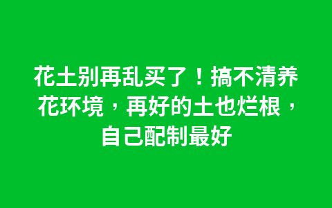 有院子一定要养的3种花,耐寒耐晒,花姿美丽,色彩漂亮1