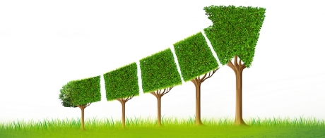 海南免税:政策推动下的慢热市场2