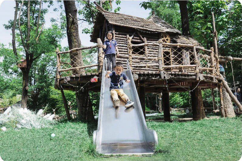 陕西端午假日活动亮点纷呈 激发文旅市场活力1