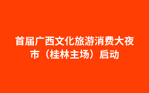 首届广西文化旅游消费大夜市(桂林主场)启动1
