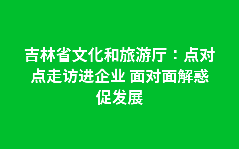吉林省文化和旅游厅:点对点走访进企业 面对面解惑促发展1