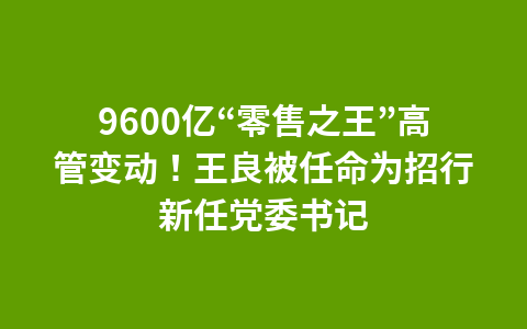 9600亿“零售之王”高管变动！王良被任命为招行新任党委书记1