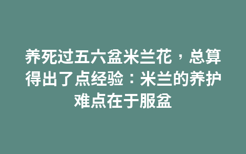 “直播王”虎牙直播收入21.52亿下滑约10%,移动端月活8190万人1