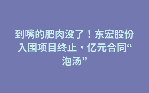 到嘴的肥肉没了!东宏股份入围项目终止,亿元合同“泡汤”1
