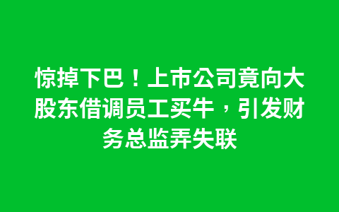 惊掉下巴！上市公司竟向大股东借调员工买牛，引发财务总监弄失联1