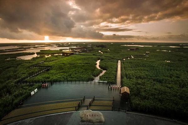 上海周边一日游自驾游去哪里比较好1