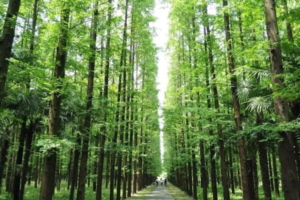 上海周边一日游自驾游去哪里比较好2