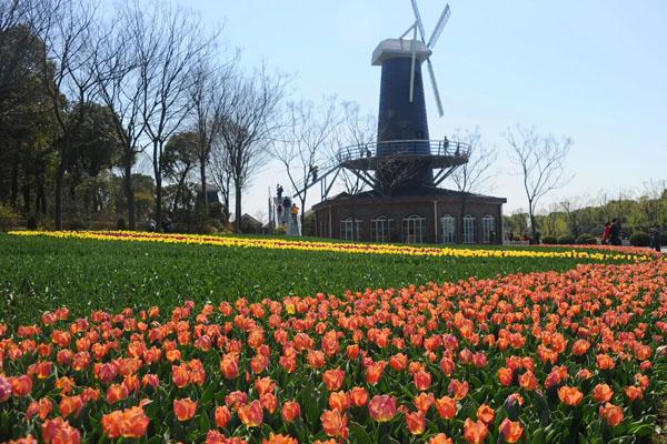 上海周边一日游自驾游去哪里比较好3