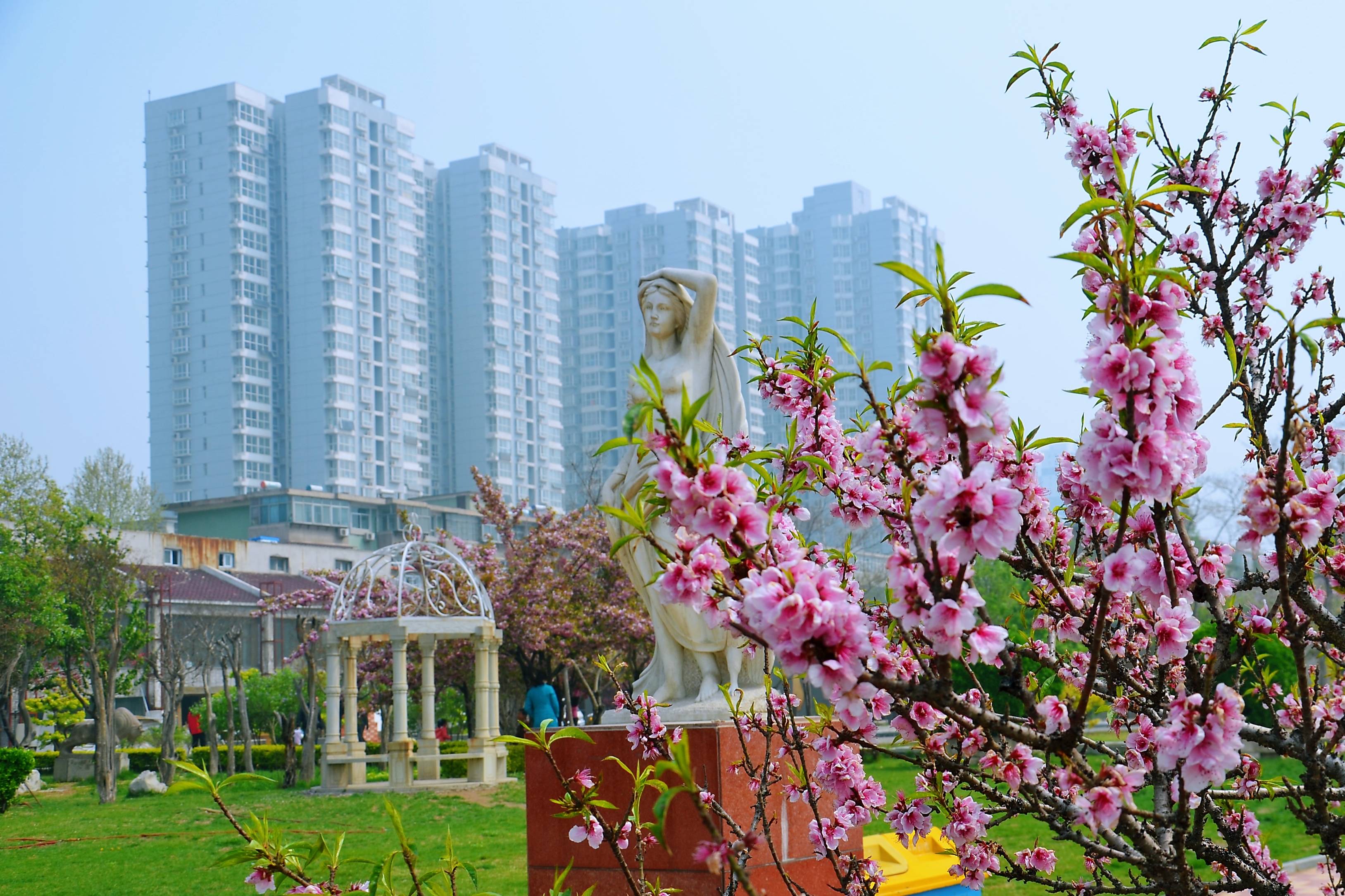 春天到了,推荐六处石家庄地铁直达的免费踏青地,一起赴约春天吧8