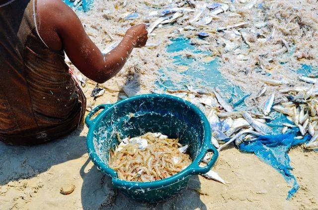 越贫穷越简单,这个非洲小岛质朴无比,人们都生活的很快乐3