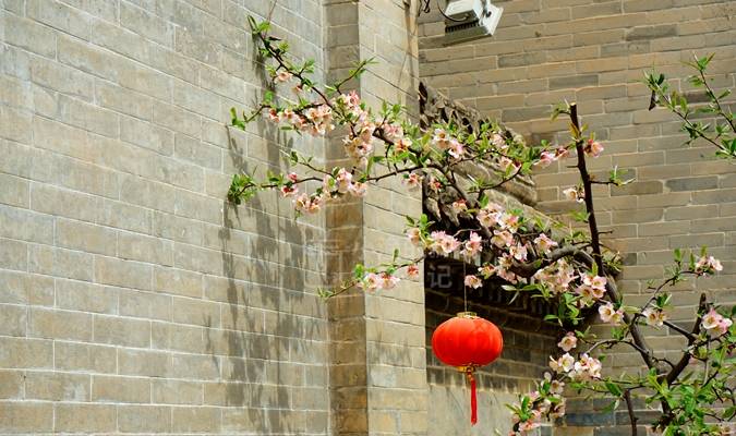 西安秦岭脚下40院明清古宅，春光意外很惊艳！你来过吗？9