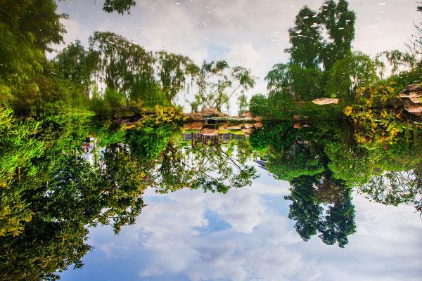 青秀山风景区旅游攻略 游玩路线推荐2