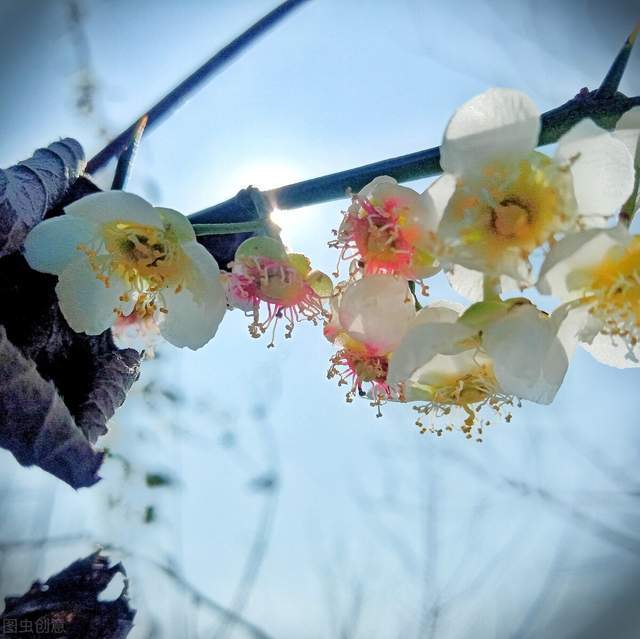 善良的人总被恶意伤害,怎么办?人生比的不是输赢,而是心安1