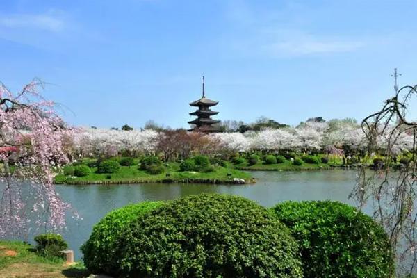 湖北自驾游去哪里比较好 经典景点推荐3