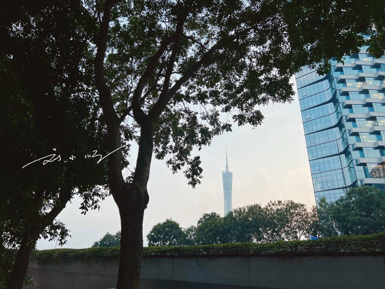 实拍广州“第一土豪村”，居民曾经都在种田，如今变成亿万富翁1