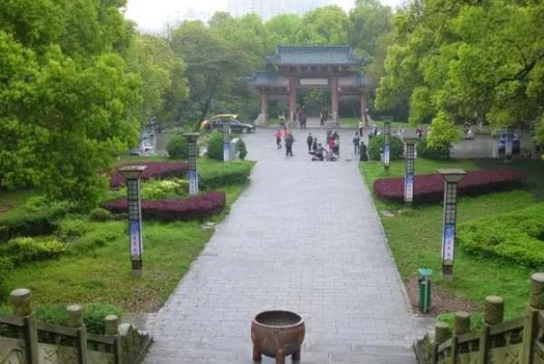 株洲踏青赏花的好地方1