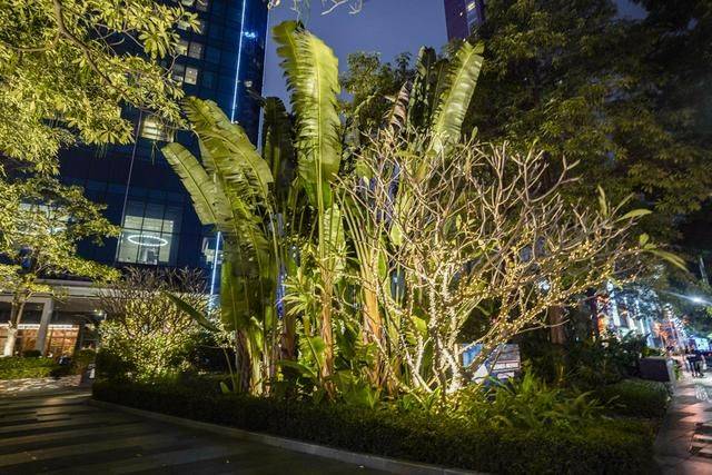 多财多金却最低调的太古汇,广州人一定都会来打卡的,高端购物区12