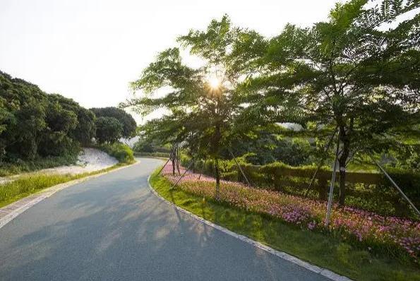 深圳适合骑行的路线有哪些2