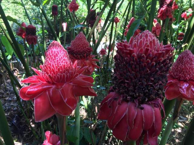 海南人心中最美的海，不在三亚，却有媲美马代的美景7