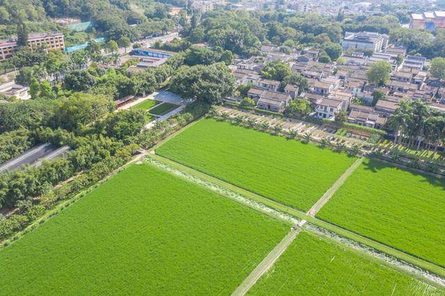 来中山一定要去的地方,这里就中山故里旅游区5