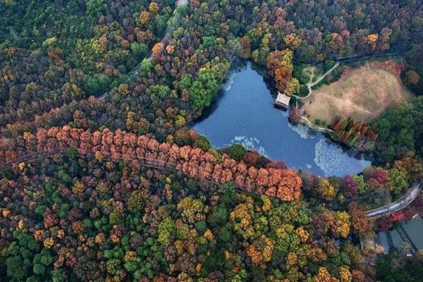 钟山风景区旅游攻略 附游玩路线推荐1