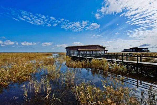 2022上海自驾游踏青的好去处1