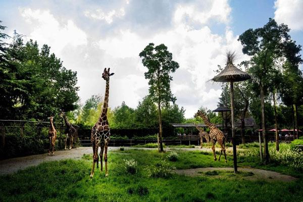 2022上海自驾游踏青的好去处3