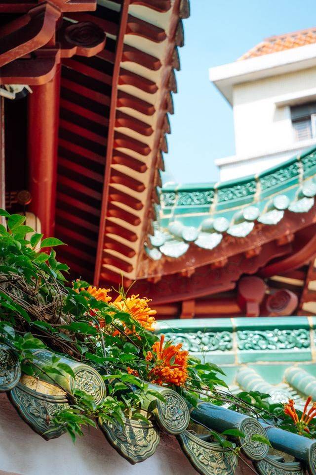 海珠区最热闹的地段，竟然还有个寺庙，古色古香拍照无敌11