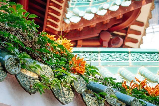 海珠区最热闹的地段，竟然还有个寺庙，古色古香拍照无敌10