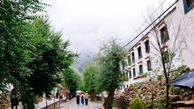拉萨色拉寺,雨天参观也很美11