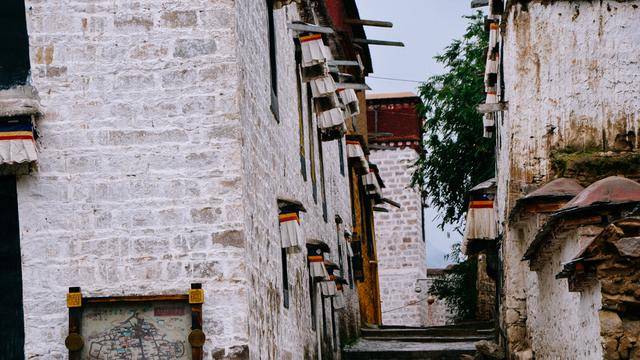 拉萨色拉寺,雨天参观也很美12