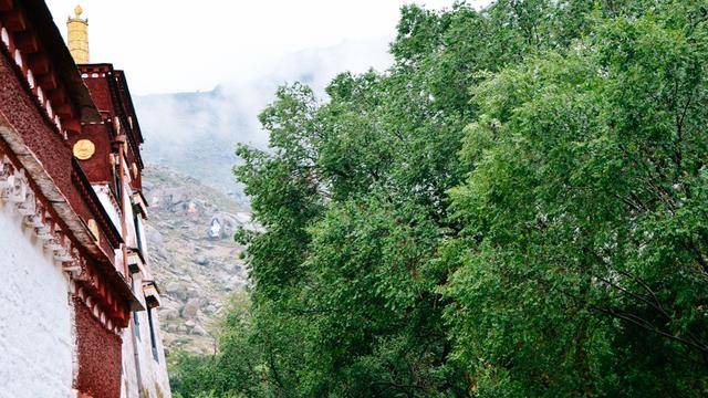 拉萨色拉寺,雨天参观也很美19